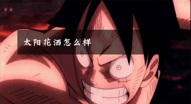 太阳花洒怎么样