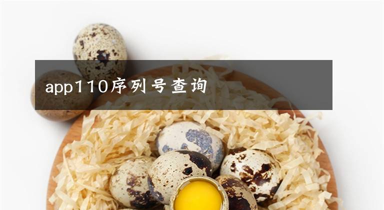 app110序列号查询