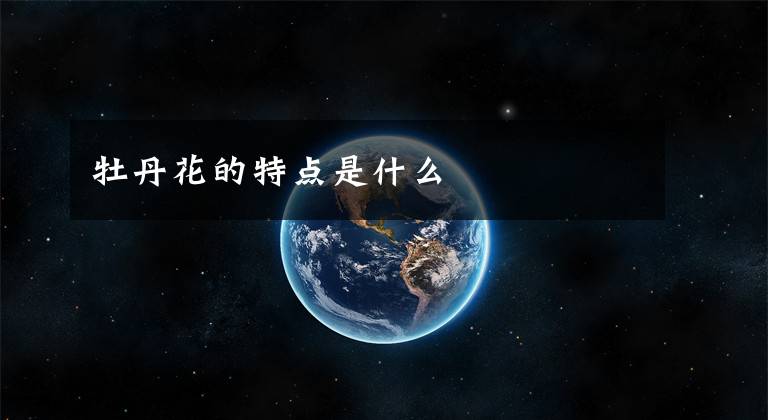 牡丹花的特点是什么