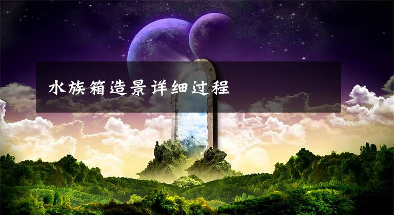 水族箱造景详细过程