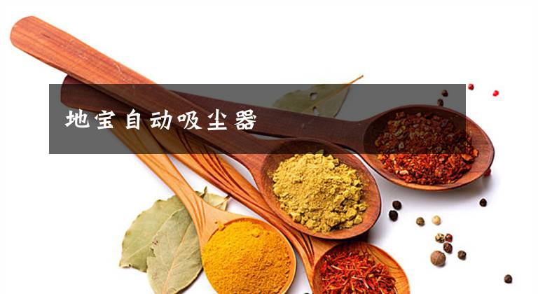 地宝自动吸尘器