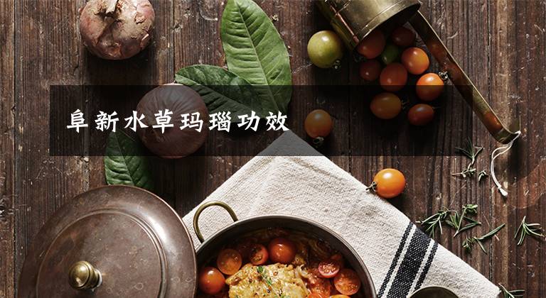 阜新水草玛瑙功效