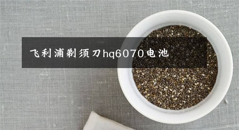 飞利浦剃须刀hq6070电池