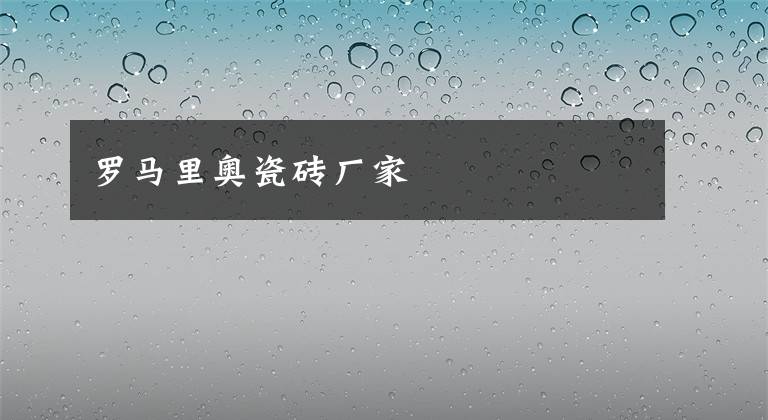 罗马里奥瓷砖厂家