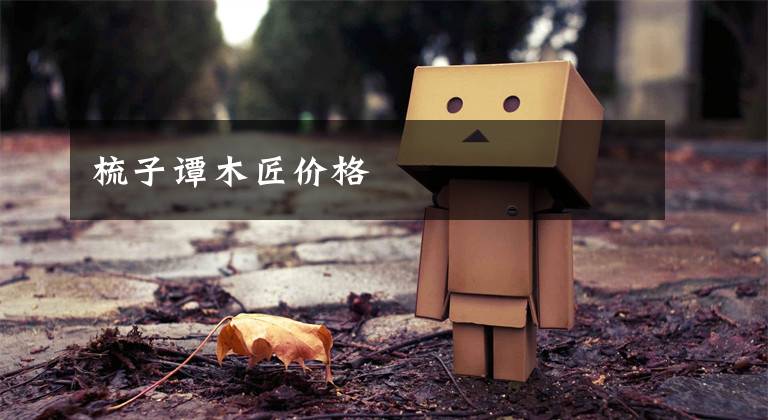 梳子谭木匠价格