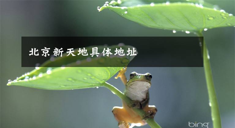 北京新天地具体地址