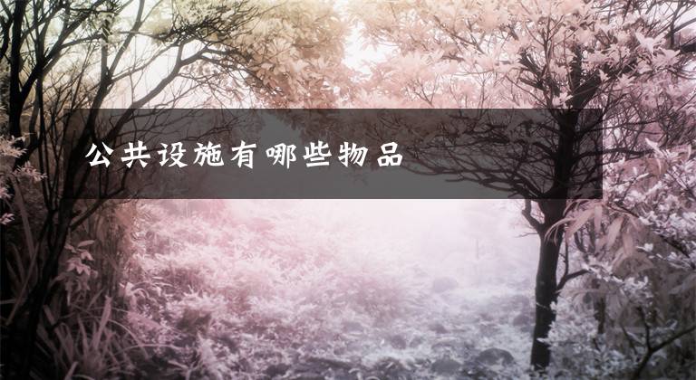 公共设施有哪些物品