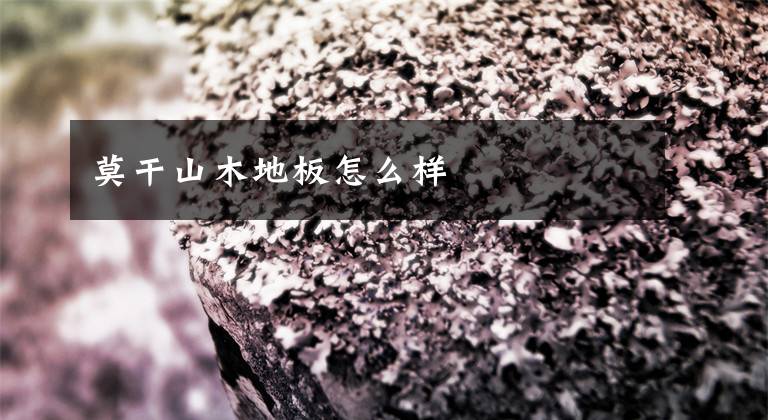 莫干山木地板怎么样