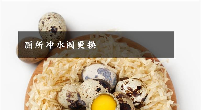 厕所冲水阀更换