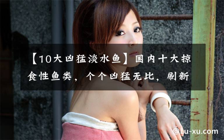 【10大凶猛淡水鱼】国内十大掠食性鱼类,个个凶猛无比,刷新你对鱼类的认知