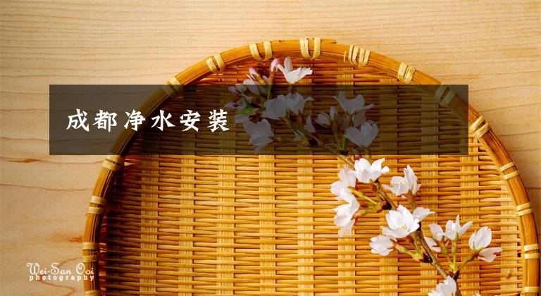 成都净水安装