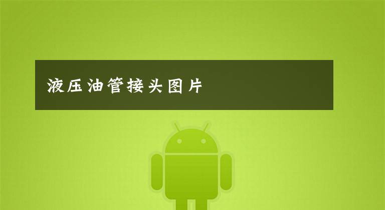 液压油管接头图片