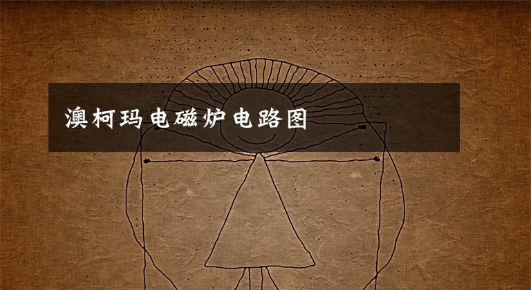 澳柯玛电磁炉电路图