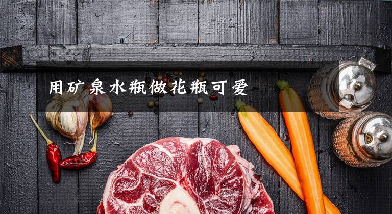 用矿泉水瓶做花瓶可爱