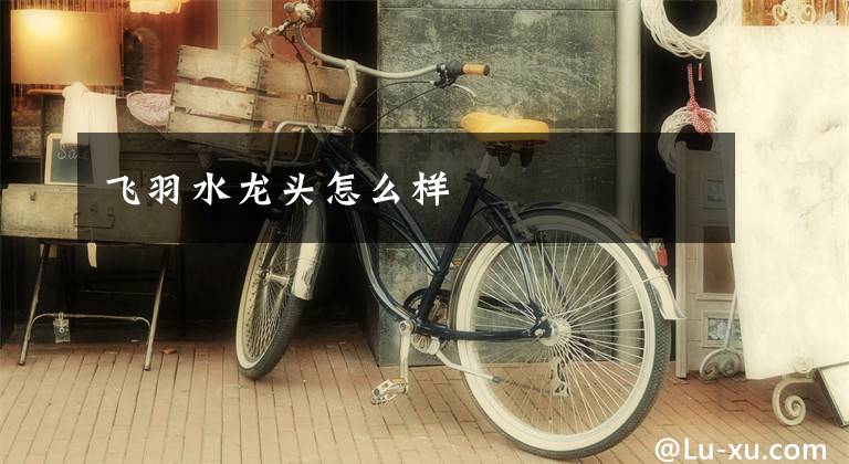 飞羽水龙头怎么样