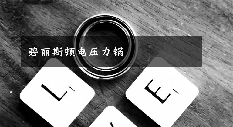 碧丽斯顿电压力锅