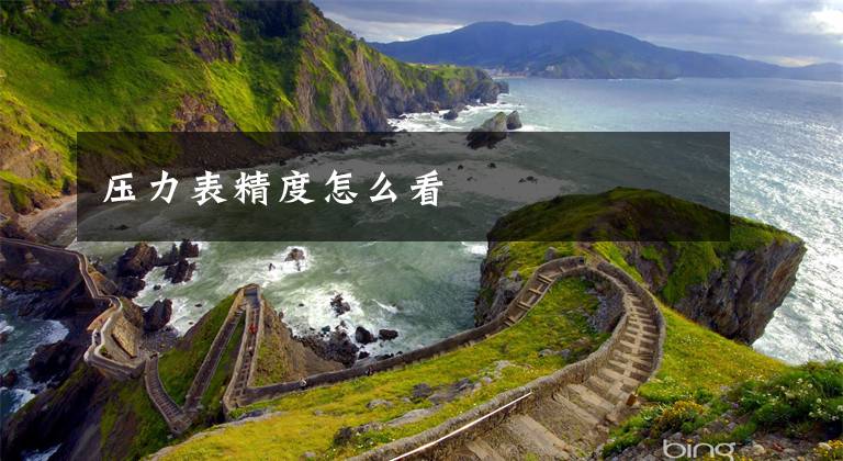 压力表精度怎么看