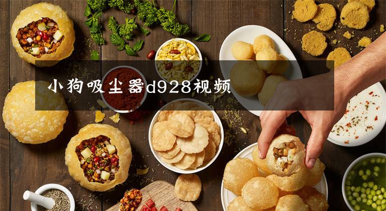 小狗吸尘器d928视频