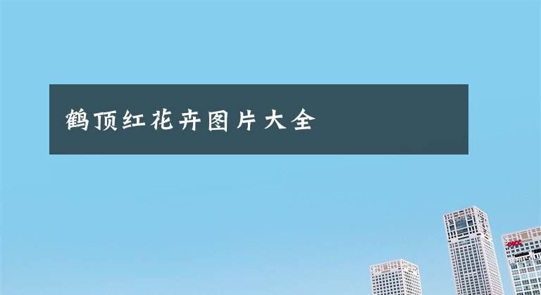 鹤顶红花卉图片大全