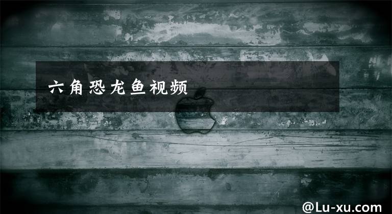 六角恐龙鱼视频