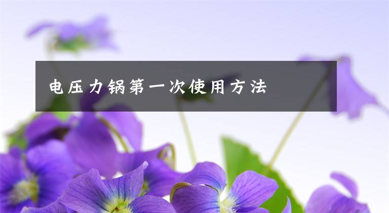 电压力锅第一次使用方法