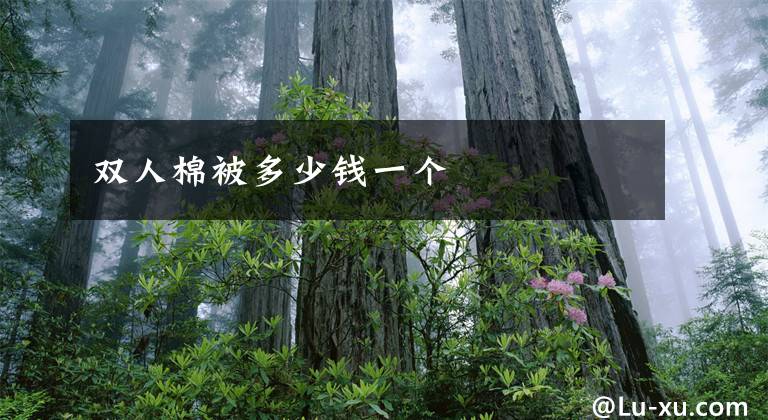 双人棉被多少钱一个