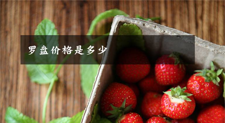 罗盘价格是多少