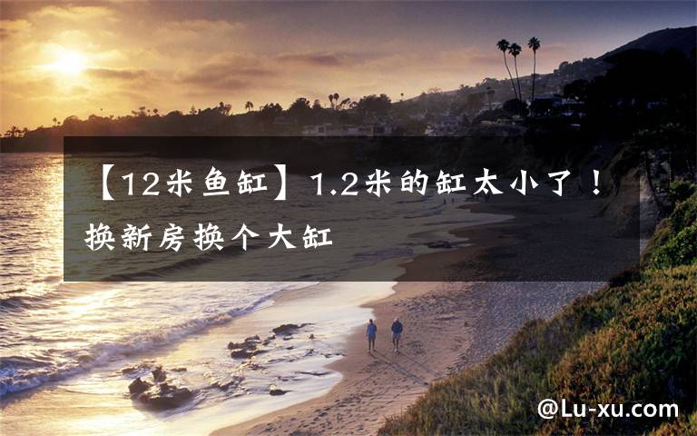 【12米鱼缸】1.2米的缸太小了!换新房换个大缸