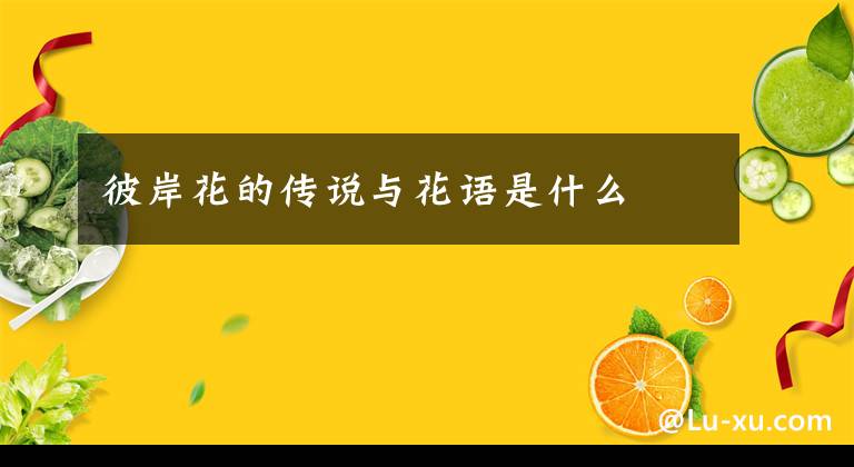 彼岸花的传说与花语是什么