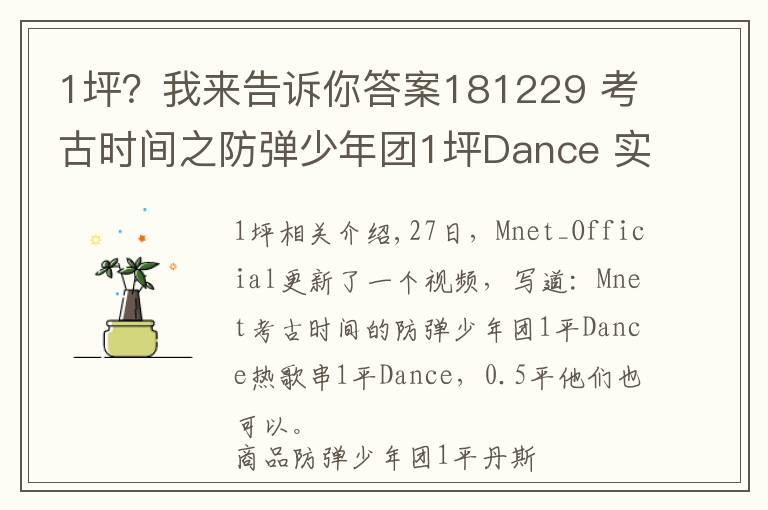 1坪?我来告诉你答案181229 考古时间之防弹少年团1坪Dance 实力少年团~