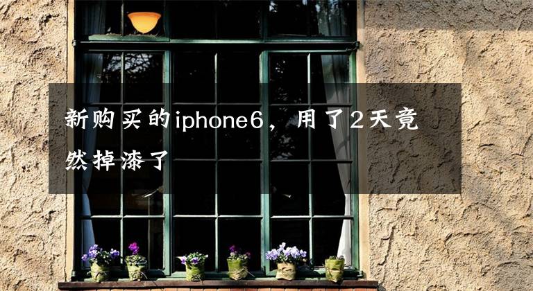新购买的iphone6，用了2天竟然掉漆了
