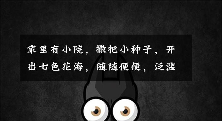 家里有小院,撒把小种子,开出七色花海,随随便便,泛滥成灾