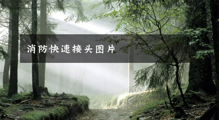 消防快速接头图片