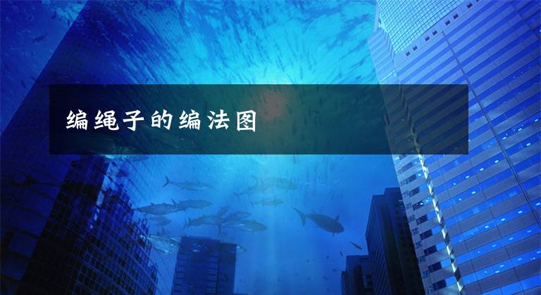 编绳子的编法图