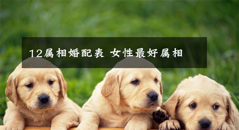12属相婚配表 女性最好属相