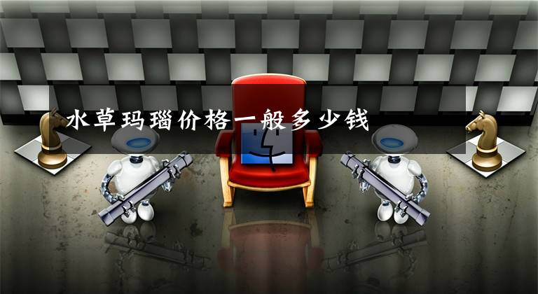 水草玛瑙价格一般多少钱