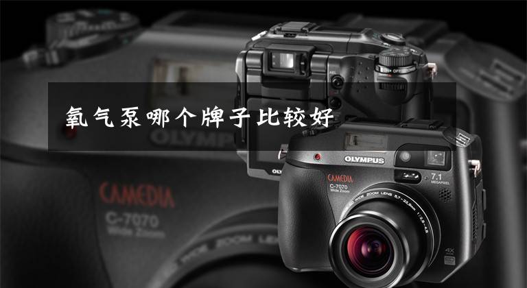 氧气泵哪个牌子比较好