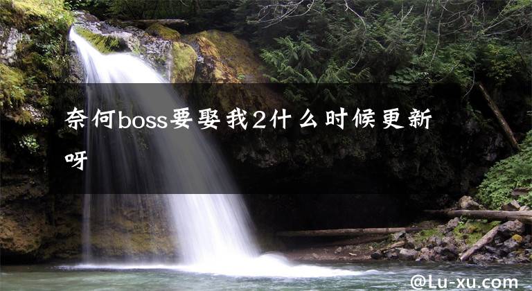 奈何boss要娶我2什么时候更新呀