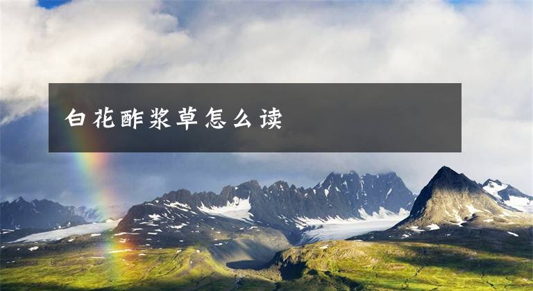 白花酢浆草怎么读