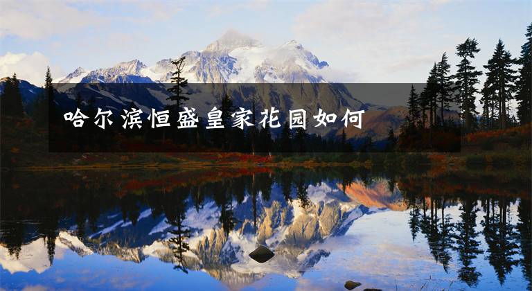 哈尔滨恒盛皇家花园如何