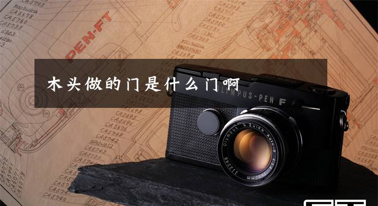 木头做的门是什么门啊
