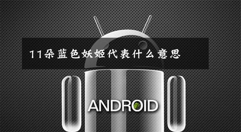 11朵蓝色妖姬代表什么意思