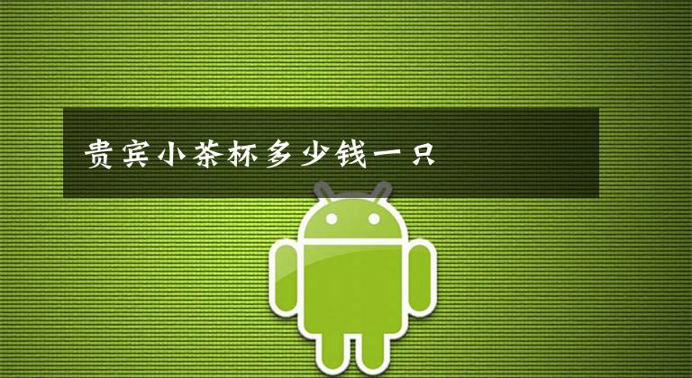 贵宾小茶杯多少钱一只