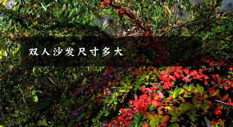 双人沙发尺寸多大