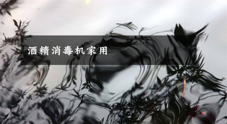 酒精消毒机家用