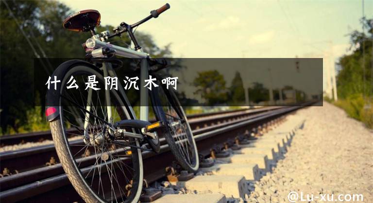 什么是阴沉木啊