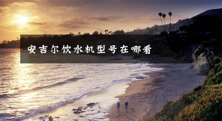安吉尔饮水机型号在哪看