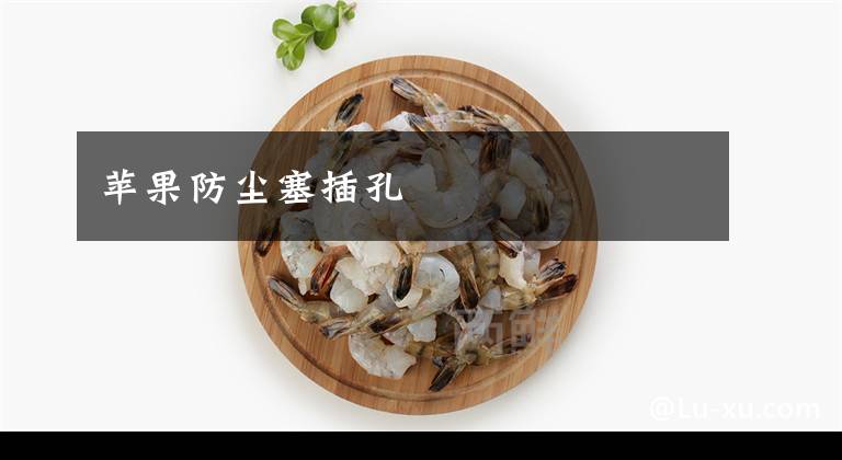 苹果防尘塞插孔