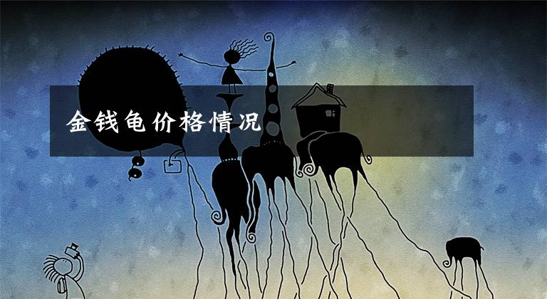 金钱龟价格情况