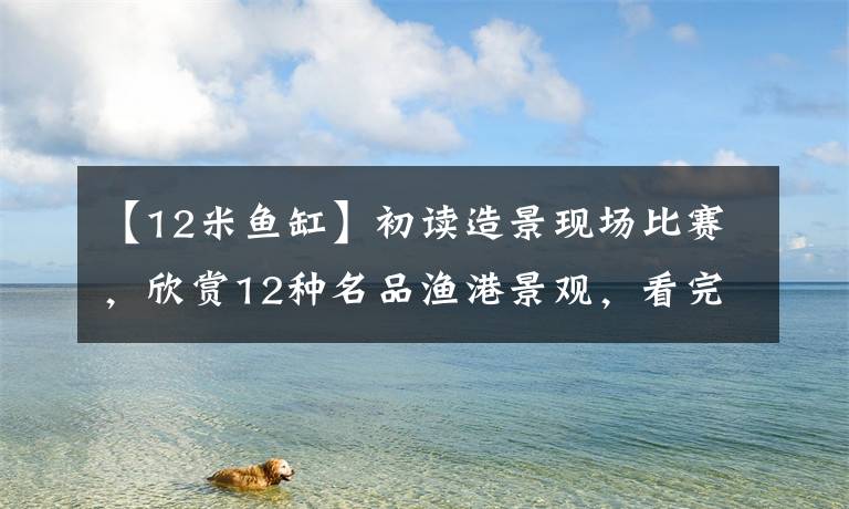 【12米鱼缸】初读造景现场比赛,欣赏12种名品渔港景观,看完后能入坑吗?